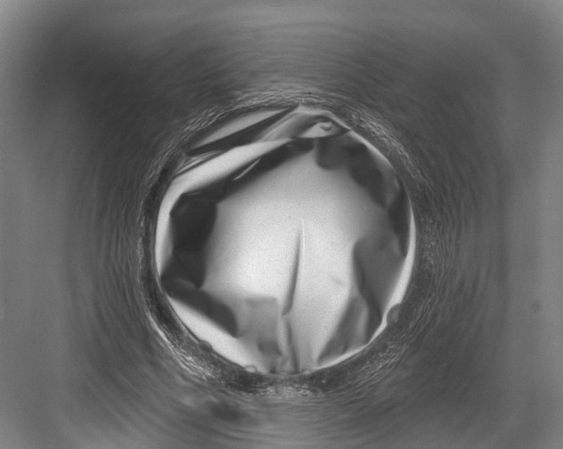 X0000082710586200702161818