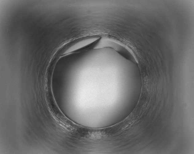 X0000082710587200702161818