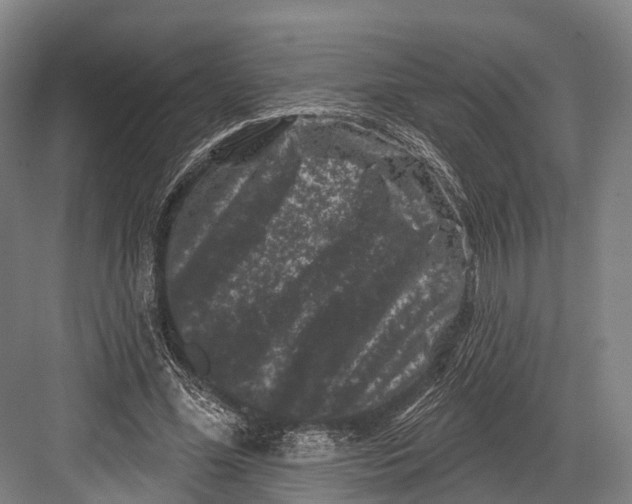 X0000082710588200702161818