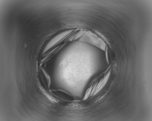 X0000082710589200702161818