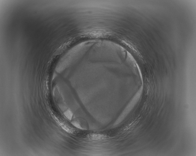 X0000082710590200702161818