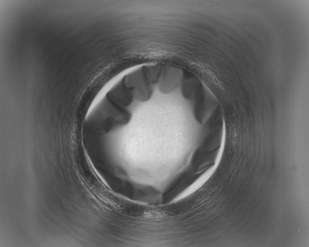 X0000082710591200702161818