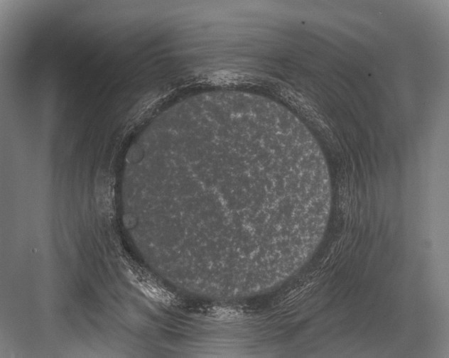 X0000082710592200702161818