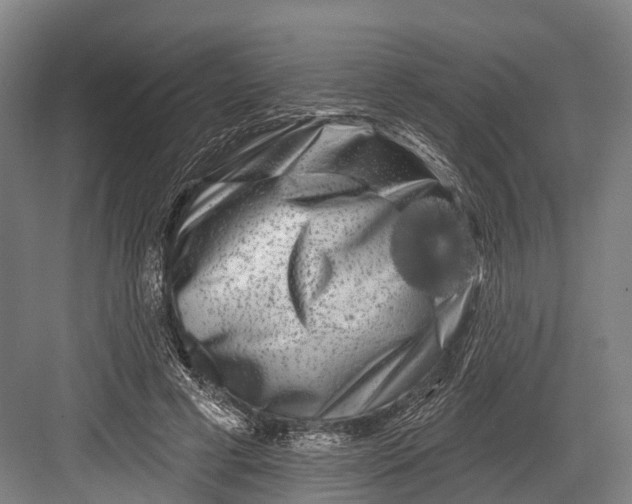 X0000082710593200702161818