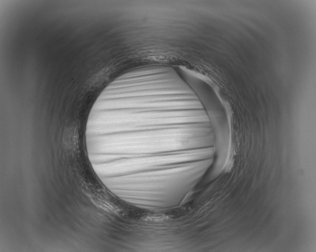 X0000082710595200702161817