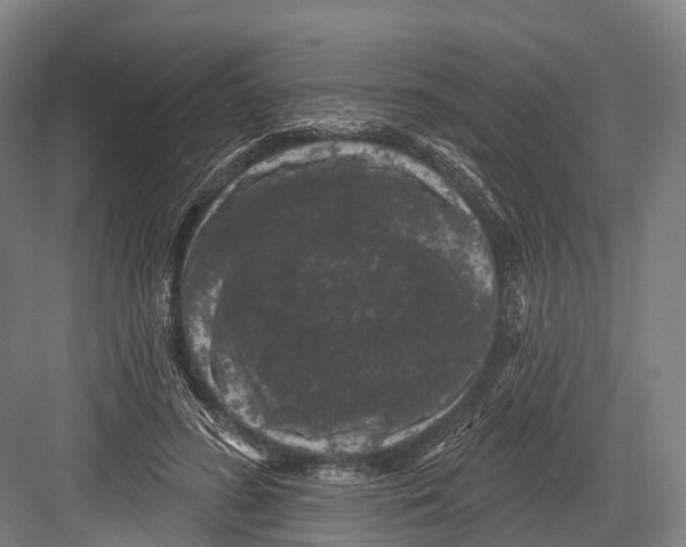 X0000082710596200702161817