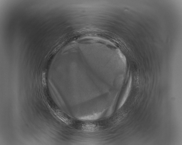 X0000082710598200702161817