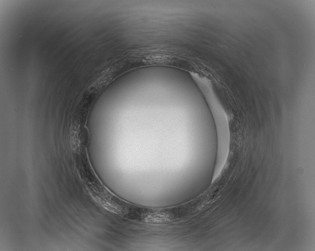 X0000082710599200702161817