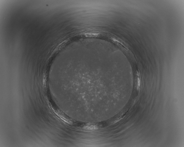 X0000082710604200702161817