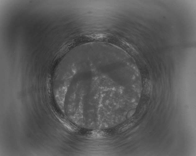 X0000082710612200702161817