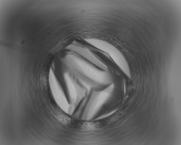 X0000082710613200702161817