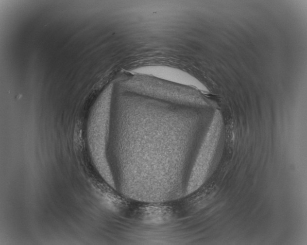 X0000082710615200702161817