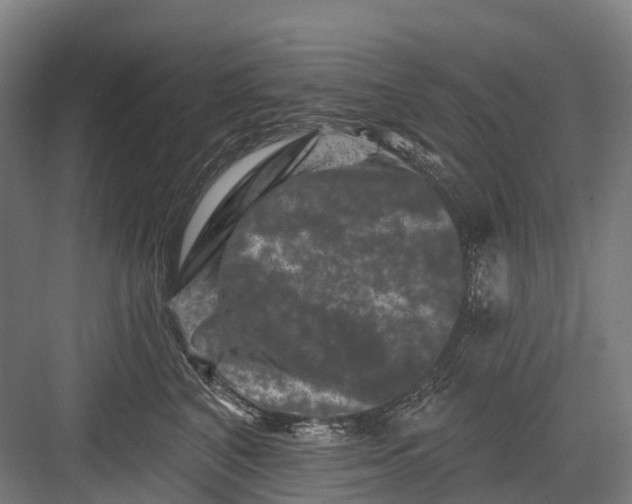 X0000082710616200702161817