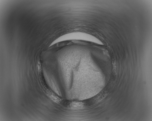 X0000082710617200702161817