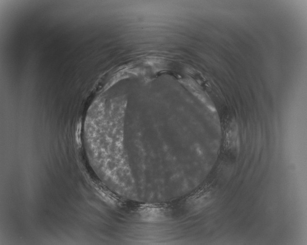 X0000082710620200702161817