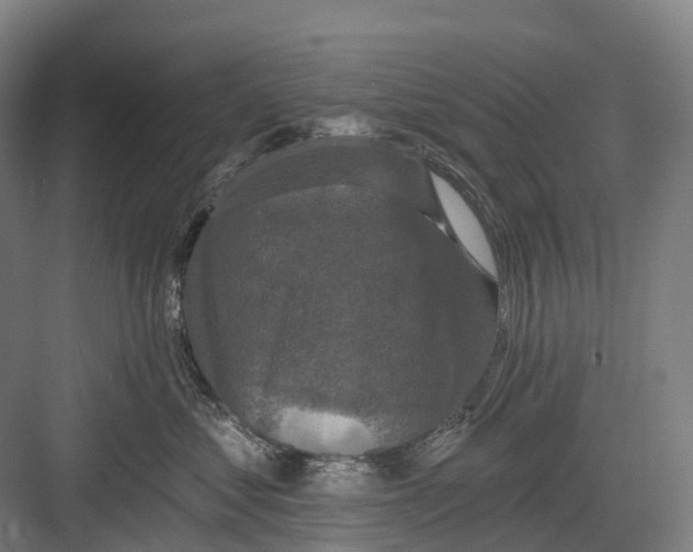 X0000082710621200702161817