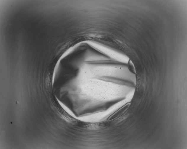 X0000082710623200702161817