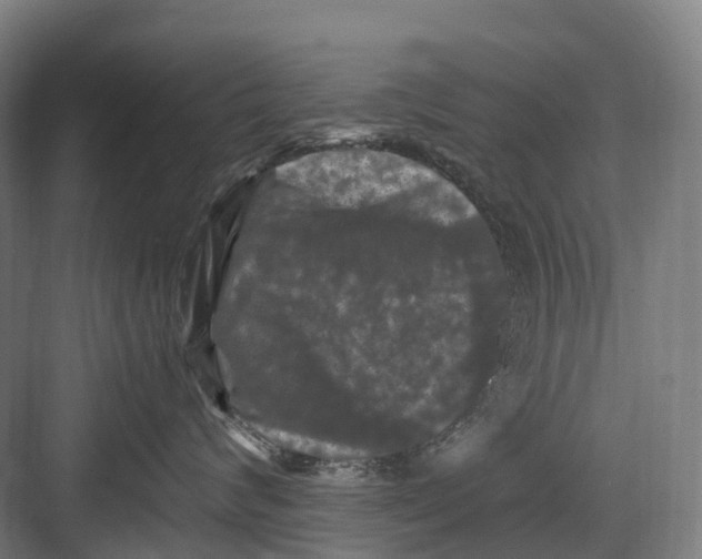 X0000082710624200702161817