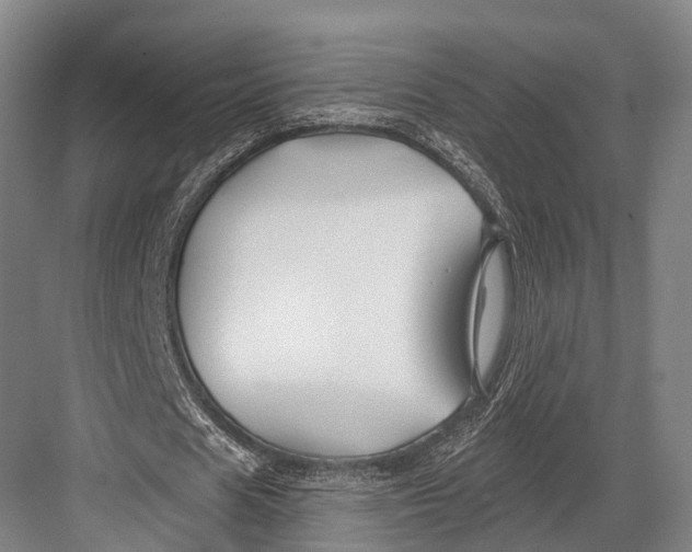 X0000082710625200702161816