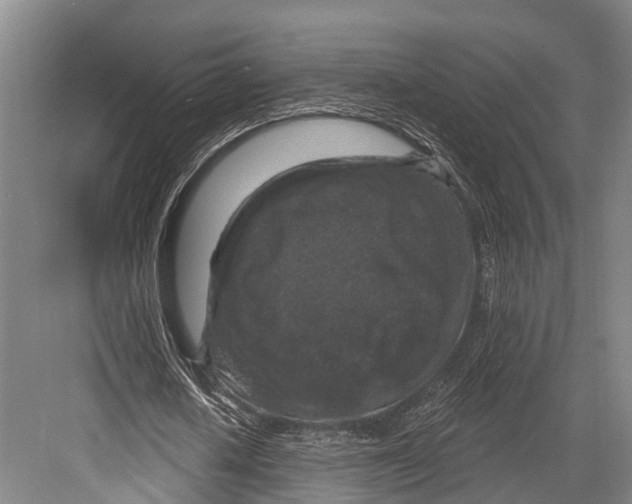 X0000082710626200702161816