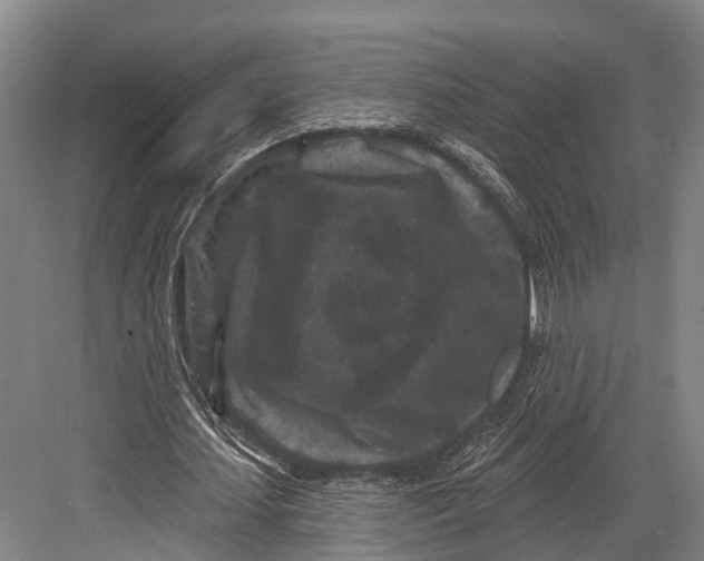 X0000082710627200702161816