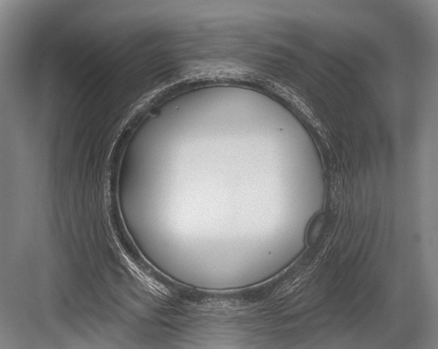 X0000082710629200702161816