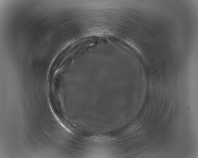 X0000082710630200702161816