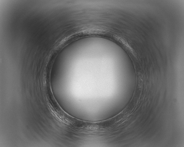 X0000082710631200702161816