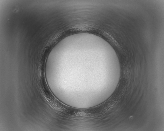 X0000082710635200702161816