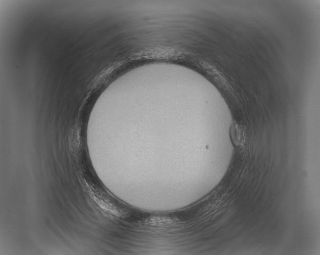 X0000082710636200702161816