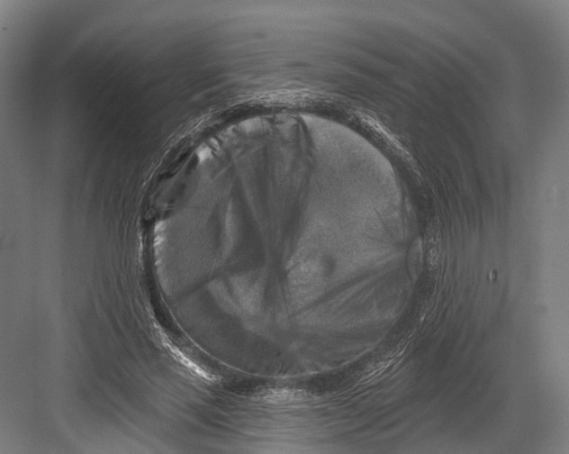 X0000082710637200702161816