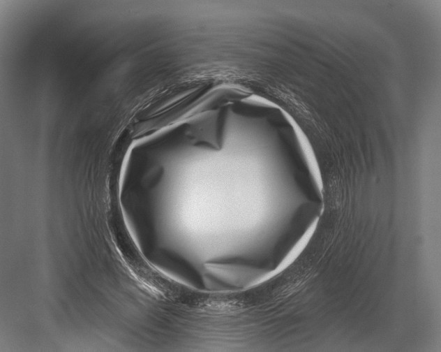 X0000082710638200702161816