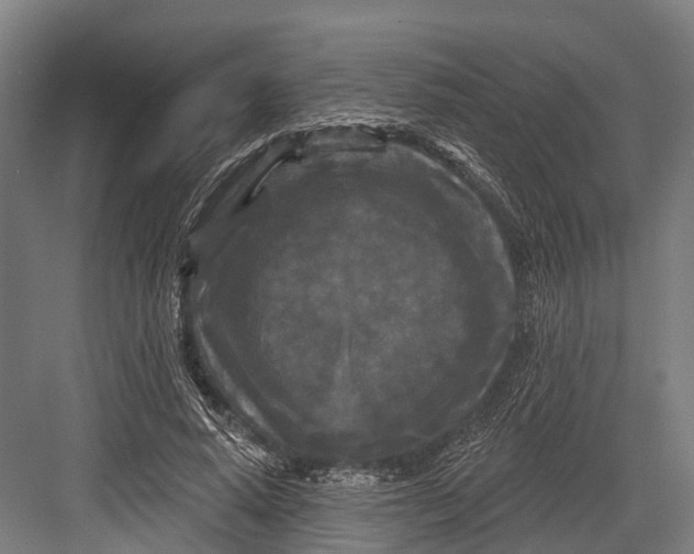 X0000082710640200702161816