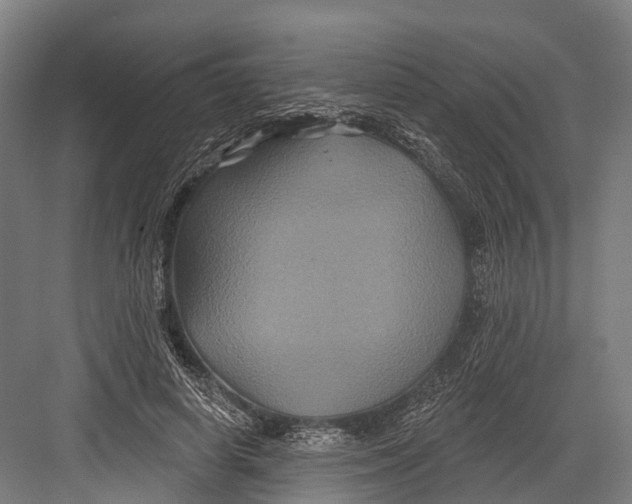 X0000082710642200702161816