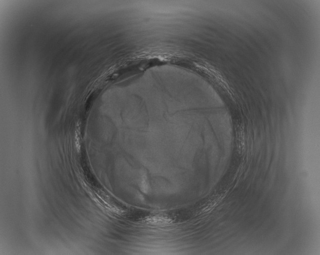 X0000082710644200702161817