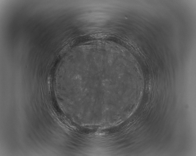 X0000082710647200702161817