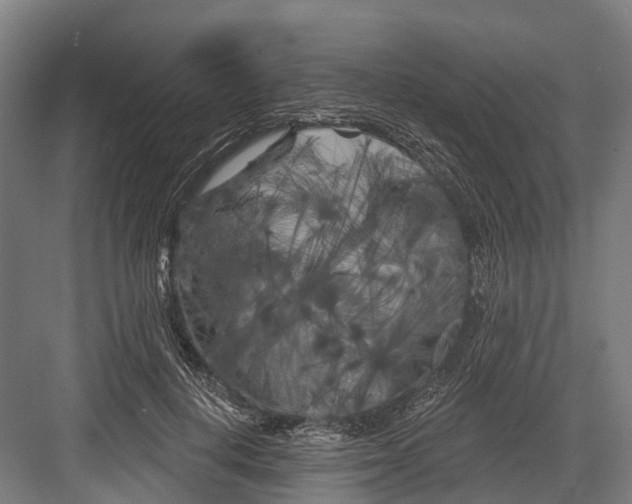 X0000082710648200702161817