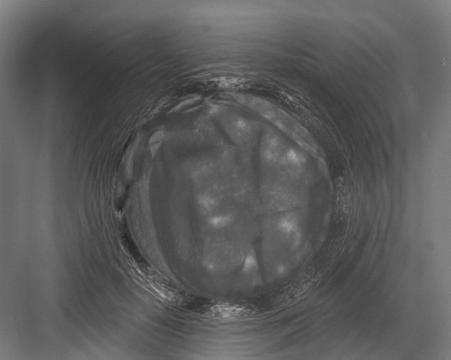 X0000082710650200702161817