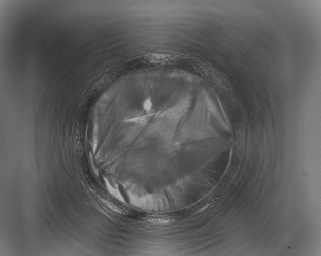 X0000082710653200702161817