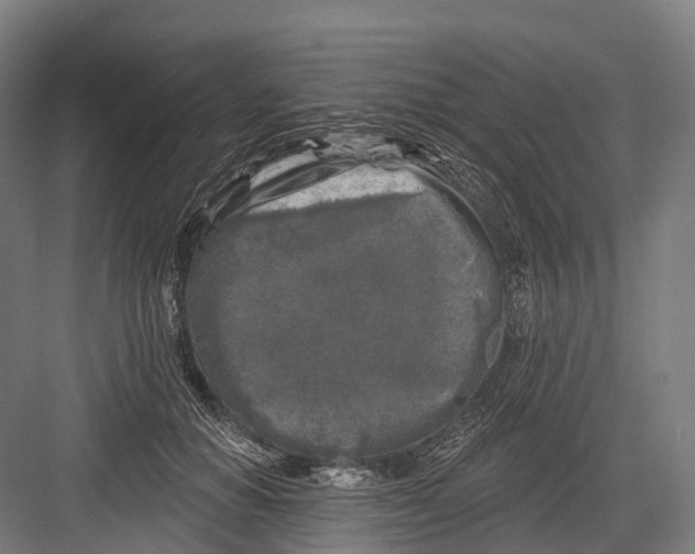 X0000082710654200702161817