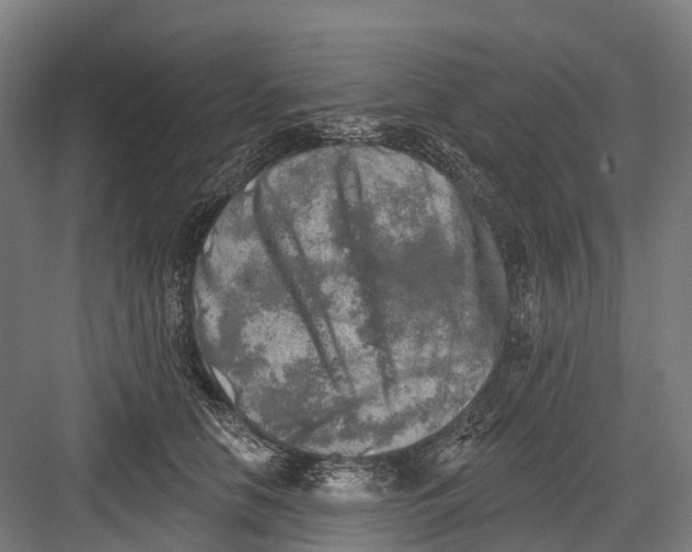 X0000082710658200702161817