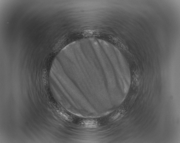 X0000082710659200702161817