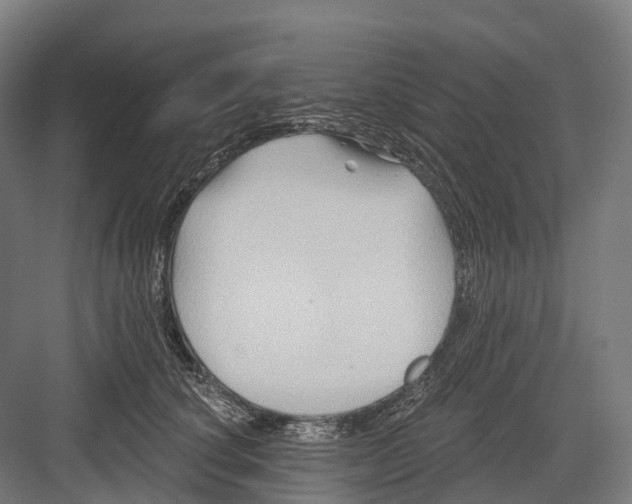 X0000082710660200702161817