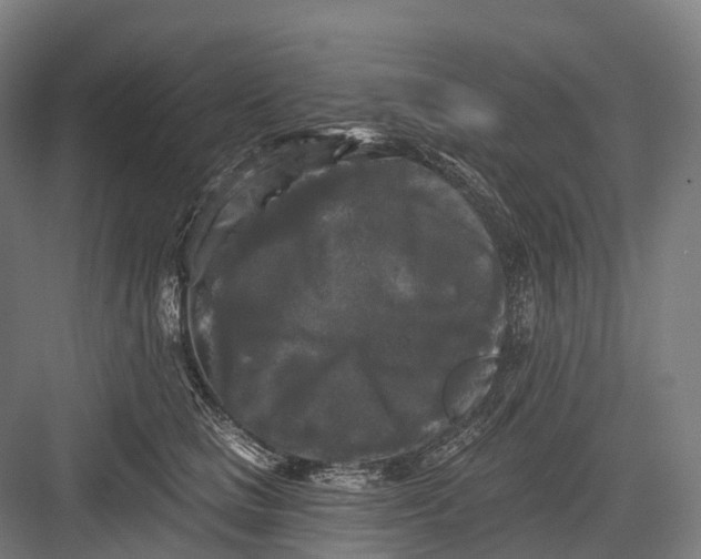 X0000082710661200702161817