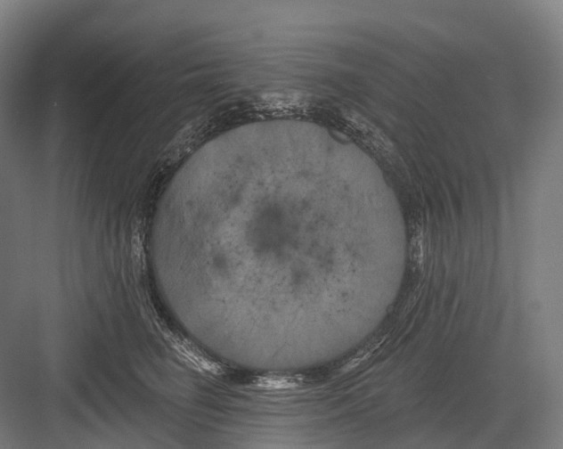 X0000082710662200702161817