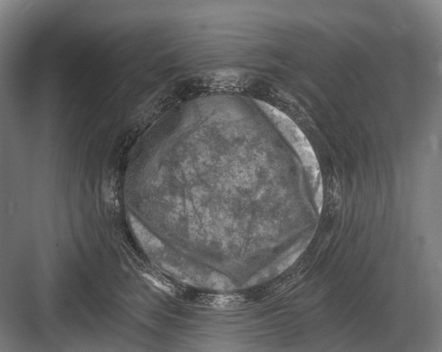 X0000082710663200702161817