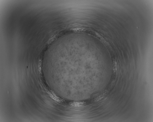 X0000082710664200702161817