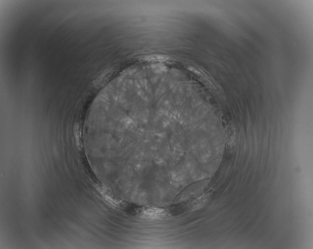 X0000082710669200702161817