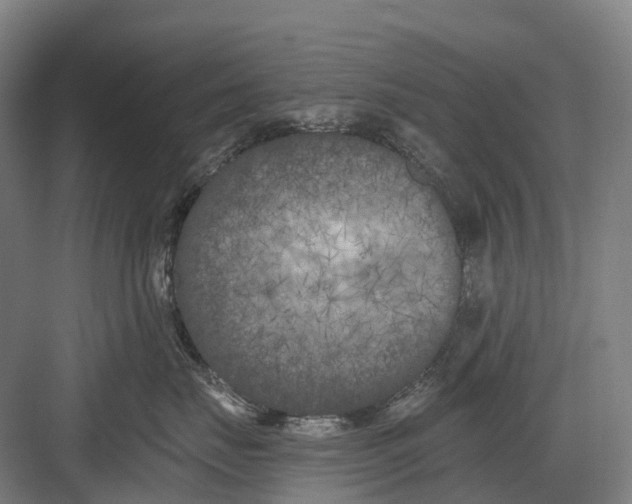 X0000082710671200702161817