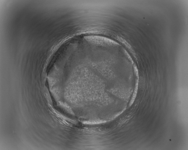 X0000082710673200702161816